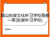 眉山东坡文化补习学校是哪一家(东坡补习学校)
