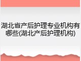 湖北省产后护理专业机构有哪些(湖北产后护理机构)
