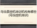 乌恰县挖机培训机构有哪些(乌恰挖机培训)