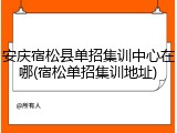 安庆宿松县单招集训中心在哪(宿松单招集训地址)