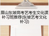 眉山东坡高考艺考生文化课补习班推荐(东坡艺考文化补习)