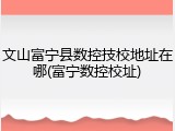 文山富宁县数控技校地址在哪(富宁数控校址)