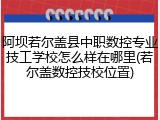 阿坝若尔盖县中职数控专业技工学校怎么样在哪里(若尔盖数控技校位置)