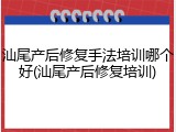 汕尾产后修复手法培训哪个好(汕尾产后修复培训)
