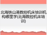 北海铁山港数控机床培训机构哪里学(北海数控机床培训)