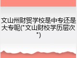 文山州财贸学校是中专还是大专呢("文山财校学历层次")