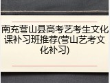 南充营山县高考艺考生文化课补习班推荐(营山艺考文化补习)