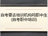 自考要去培训机构吗职中生(自考职中培训)