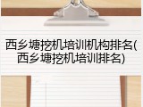西乡塘挖机培训机构排名(西乡塘挖机培训排名)