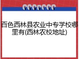百色西林县农业中专学校哪里有(西林农校地址)