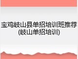 宝鸡岐山县单招培训班推荐(岐山单招培训)