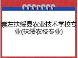 崇左扶绥县农业技术学校专业(扶绥农校专业)