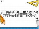 乐山峨眉山高三生去哪个补习学校(峨眉高三补习校)