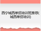 西宁城西单招培训班推荐(城西单招培训)