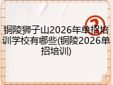 铜陵狮子山2026年单招培训学校有哪些(铜陵2026单招培训)