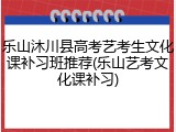 乐山沐川县高考艺考生文化课补习班推荐(乐山艺考文化课补习)