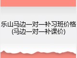 乐山马边一对一补习班价格(马边一对一补课价)