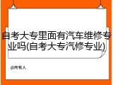 自考大专里面有汽车维修专业吗(自考大专汽修专业)