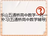 乐山五通桥高中数学一对一补习(五通桥高中数学辅导)