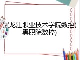 黑龙江职业技术学院数控(黑职院数控)