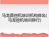 马龙县挖机培训机构排名(马龙挖机培训排行)