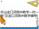 乐山金口河高中数学一对一补习(金口河高中数学辅导)