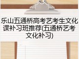 乐山五通桥高考艺考生文化课补习班推荐(五通桥艺考文化补习)