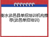 衡水武邑县单招培训机构推荐(武邑单招培训)