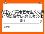 内江东兴高考艺考生文化课补习班推荐(东兴艺考文化班)