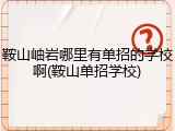 鞍山岫岩哪里有单招的学校啊(鞍山单招学校)