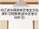 内江资中县高考艺考生文化课补习班推荐(资中艺考文化补习)