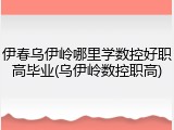 伊春乌伊岭哪里学数控好职高毕业(乌伊岭数控职高)