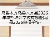 乌鲁木齐乌鲁木齐县2026年单招培训学校有哪些(乌县2026单招学校)