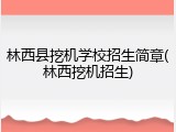 林西县挖机学校招生简章(林西挖机招生)