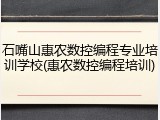 石嘴山惠农数控编程专业培训学校(惠农数控编程培训)