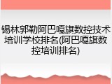 锡林郭勒阿巴嘎旗数控技术培训学校排名(阿巴嘎旗数控培训排名)