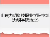 山东力明科技职业学院校址(力明学院地址)