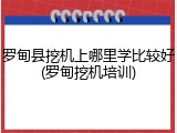 罗甸县挖机上哪里学比较好(罗甸挖机培训)