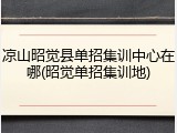 凉山昭觉县单招集训中心在哪(昭觉单招集训地)