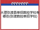 大理弥渡县单招数控学校有哪些(弥渡数控单招学校)