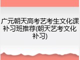 广元朝天高考艺考生文化课补习班推荐(朝天艺考文化补习)
