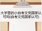 大学里的小自考文凭国家认可吗(自考文凭国家认可)