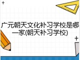 广元朝天文化补习学校是哪一家(朝天补习学校)