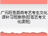 广元旺苍县高考艺考生文化课补习班推荐(旺苍艺考文化课班)