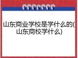 山东商业学校是学什么的(山东商校学什么)
