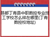 昌都丁青县中职数控专业技工学校怎么样在哪里(丁青数控校地址)