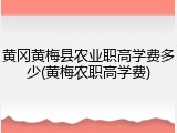 黄冈黄梅县农业职高学费多少(黄梅农职高学费)