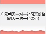 广元朝天一对一补习班价格(朝天一对一补课价)