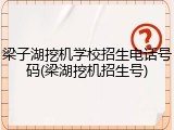 梁子湖挖机学校招生电话号码(梁湖挖机招生号)