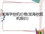 龙海学挖机价格(龙海挖掘机报价)